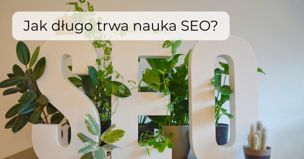 Jak długo trwa nauka SEO?